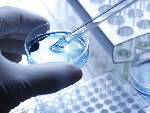 碳酸镁的制备、性质与应用探究