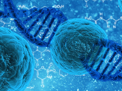 纳米技术在肿瘤治疗中的突破：纳米氧化镁的应用