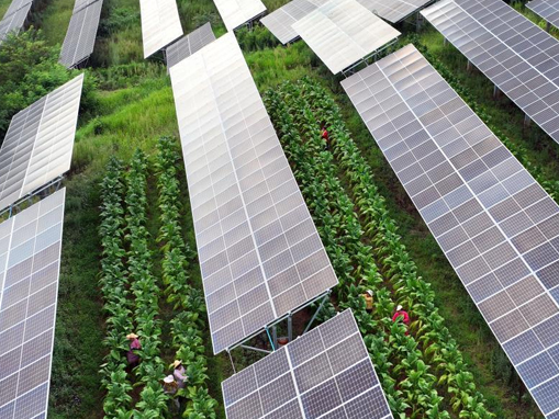 氧化镁在新能源电池领域的创新前景