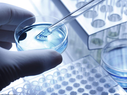 氢氧化镁的制备工艺与理化特性