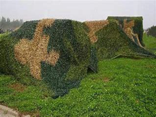 泽辉轻质氧化镁：伪装涂料技术革新，共铸国家发展与科技双赢