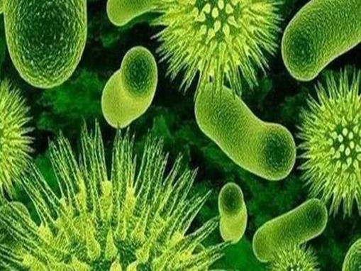 泽辉氢氧化镁在杀菌剂中的效果